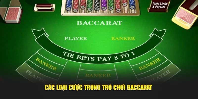 Các loại cược có trong trò chơi baccarat tại 88vv